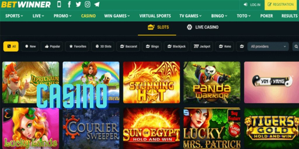 Betwinner online casino in India review